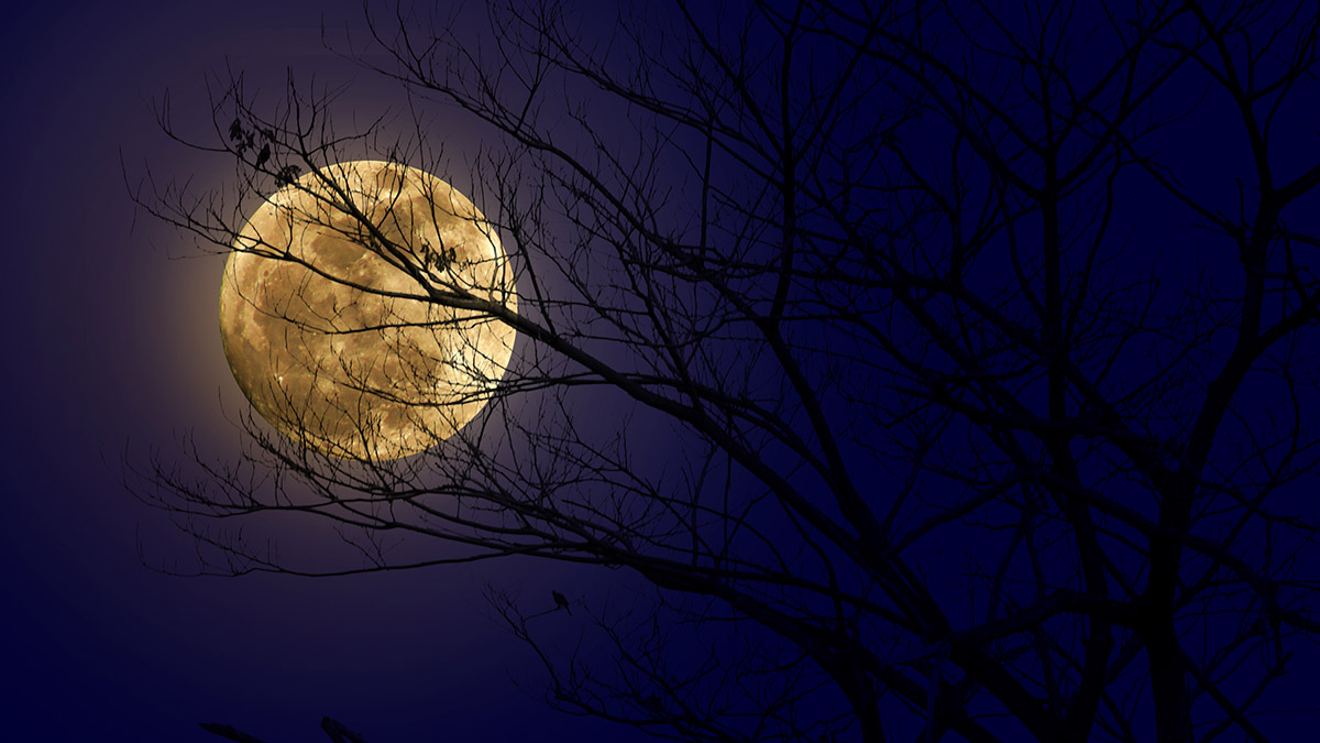 «Урожайная Луна» 7 октября 2025 — что принесет, ритуалы