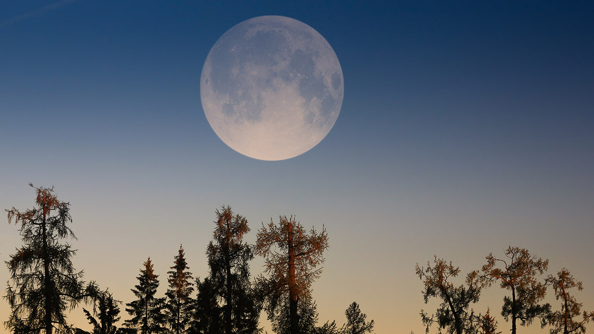 «Осетровая Луна» 19 августа: как привлечь достаток в первое суперлуние года и что опасно делать в этот день