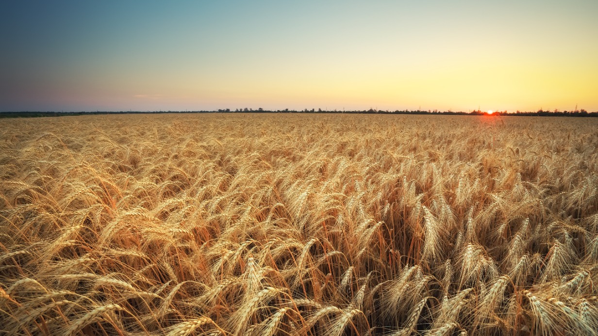 1 августа: какой праздник отмечают сегодня