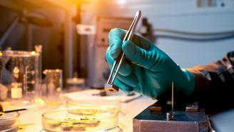 Главная линия — столица модернизирует производства 