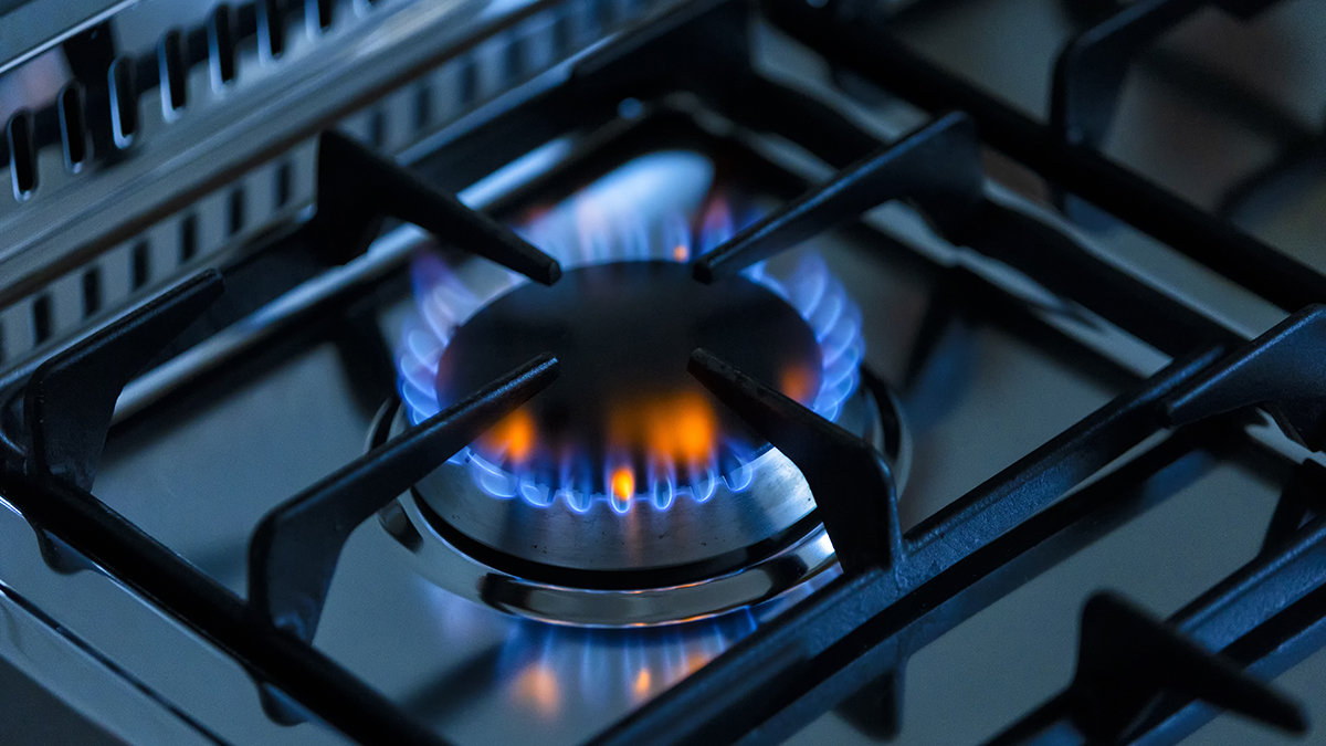 Россиянам рассказали, как бесплатно подключить газ на даче