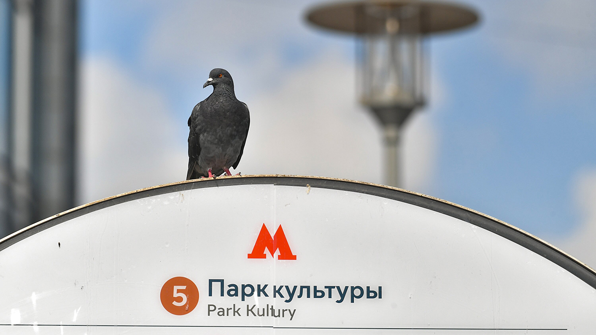 Временные ограничения сняли на станции метро «Парк культуры»