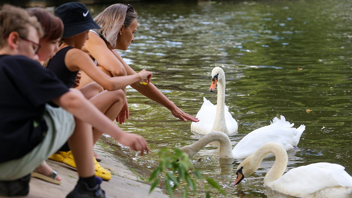Вильфанд пообещал жителям Центральной России похолодание после аномальной жары