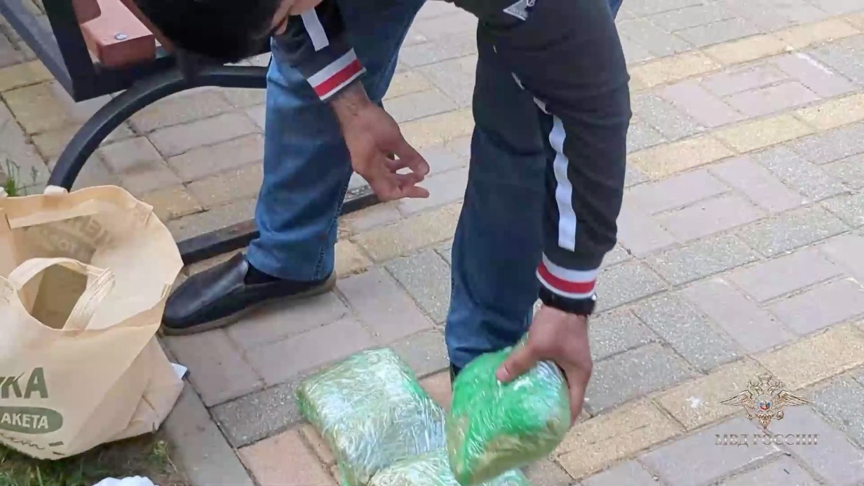 Десять килограммов гашиша изъяли у наркоторговца на Курском вокзале в Москве