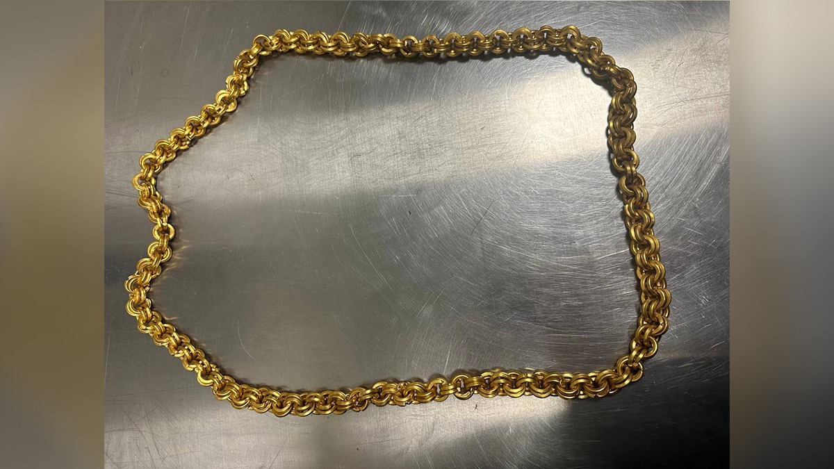 Гражданин Армении попытался улететь из Москвы с золотой цепью за 9 миллионов рублей