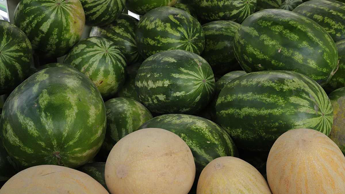 Бахчевые развалы открываются в Москве