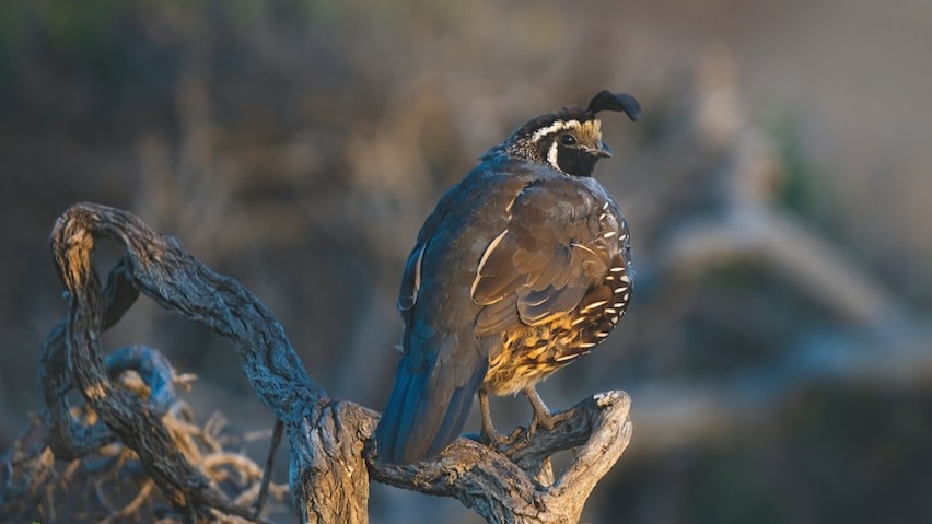 Лето — все. И в речке вода еще не остыла и травы цветут, но что-то уже переломилось в природе