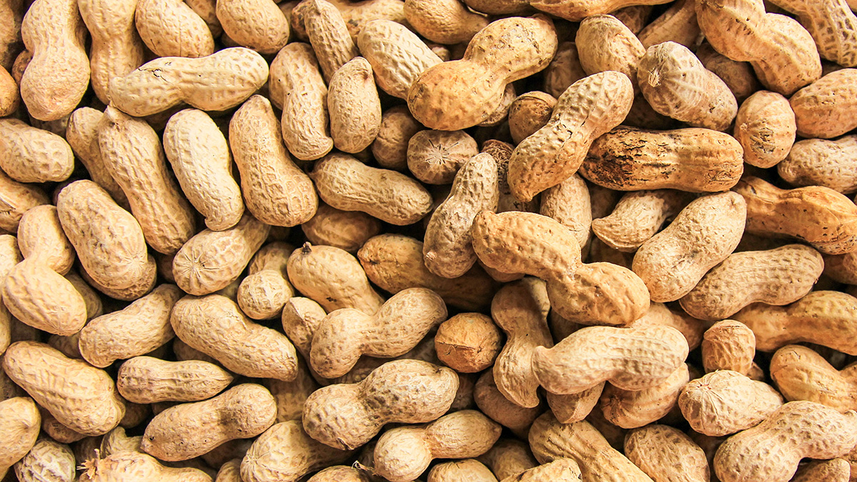 Диетолог Цуканова рассказала о пользе арахиса для женщин после 50 лет