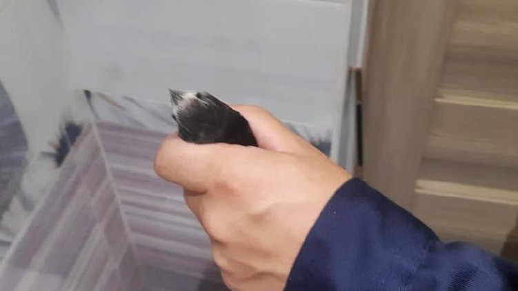 В Подмосковье спасатели освободили застрявшую в вентиляции ласточку