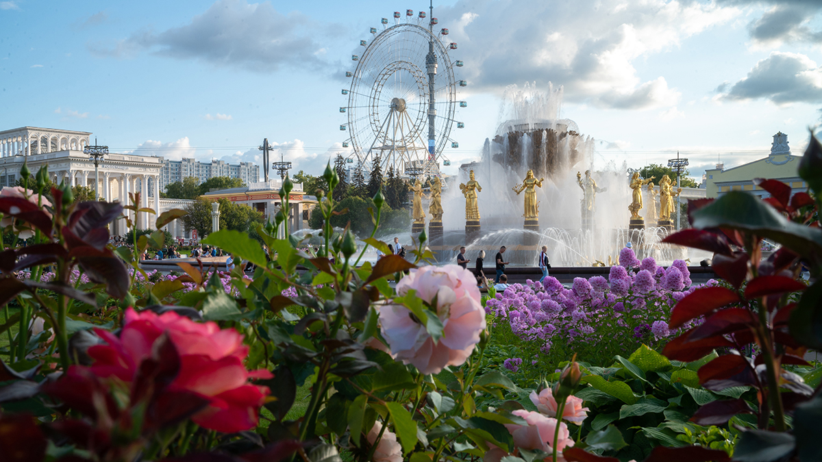 Москвичам рассказали, какие первоцветы украсят ВДНХ