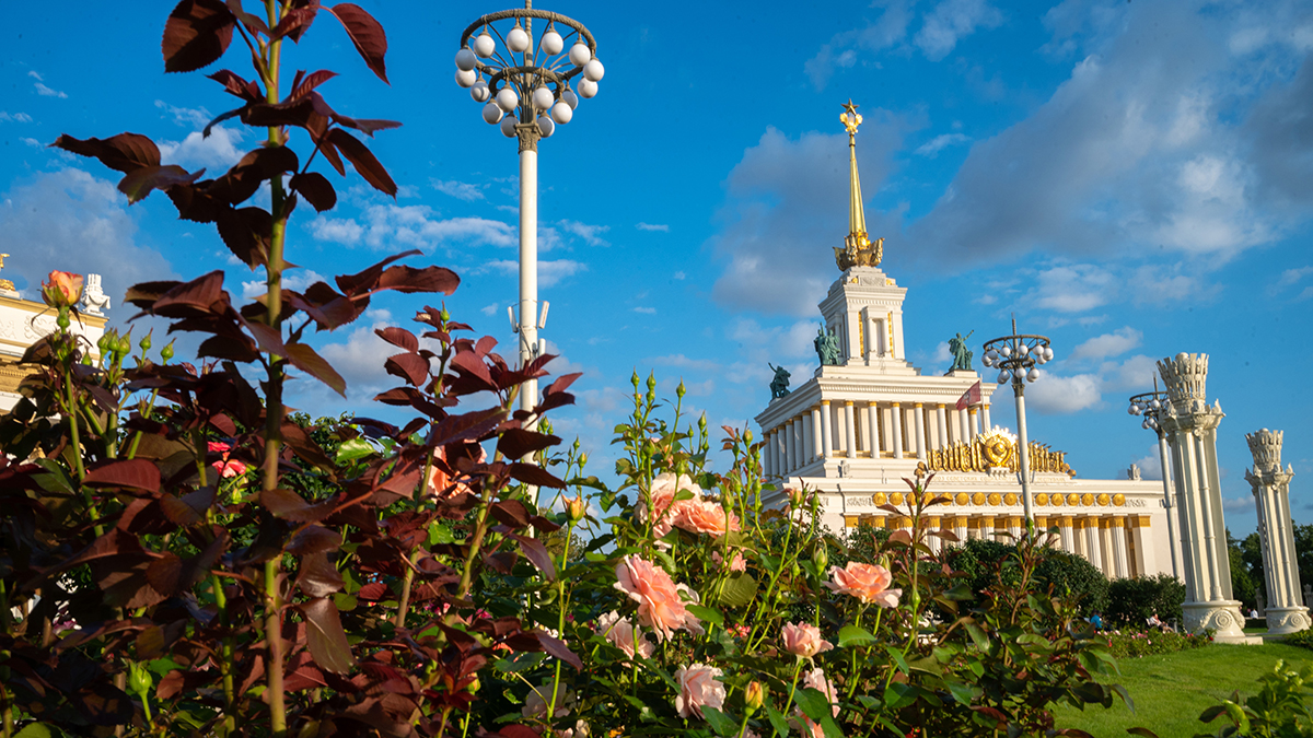 ВДНХ пригласила москвичей на мероприятия в честь Дня строителя 12 августа