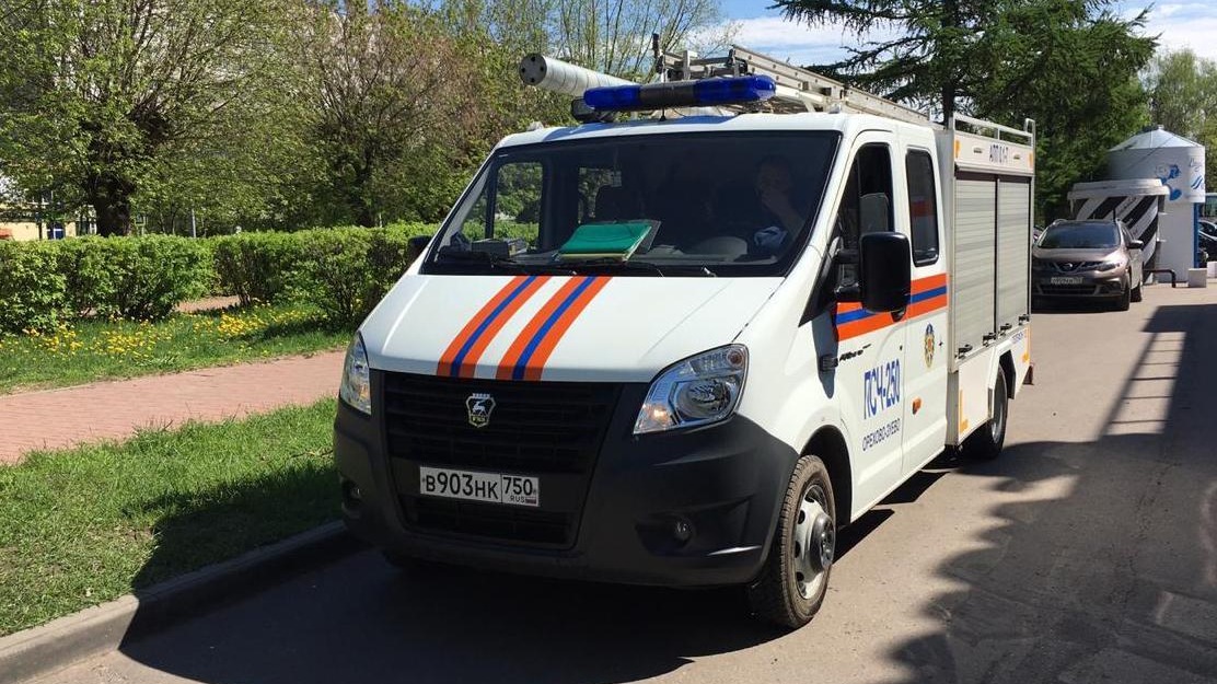 Спасатели вытащили бездомную собаку из канализационного колодца в Подмосковье