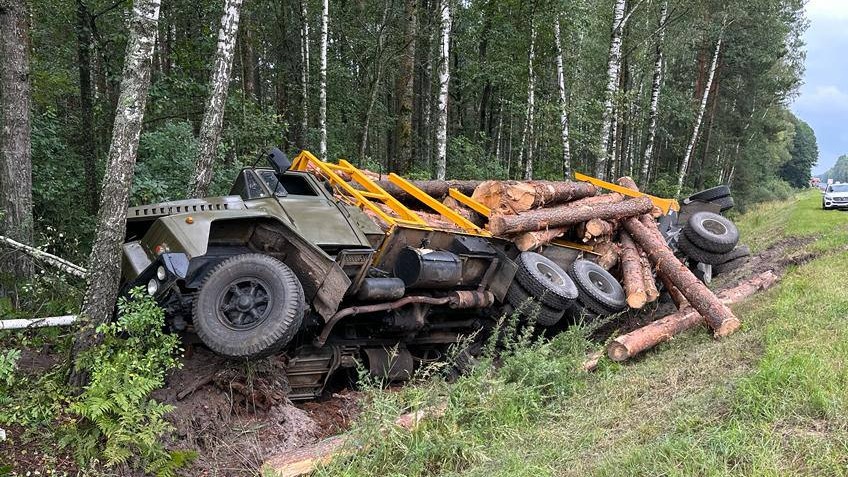 Водитель грузовика в Брянской области погиб в ДТП