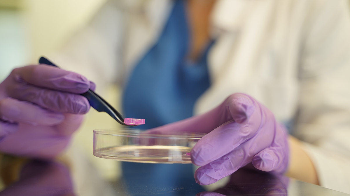 Секрет вечной молодости: открытия ученых