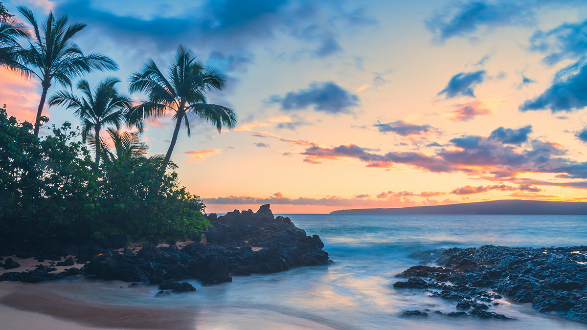 Пропавший на необитаемом острове ученый Петр Бухарицин рассказал, как выжил