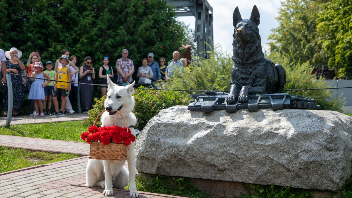 Около 2,5 тысячи человек отпраздновали День фронтовой собаки в Музее Победы