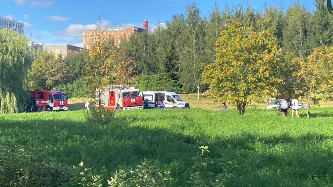 Появились подробности гибели 11-летней девочки в пруду на северо-западе Москвы