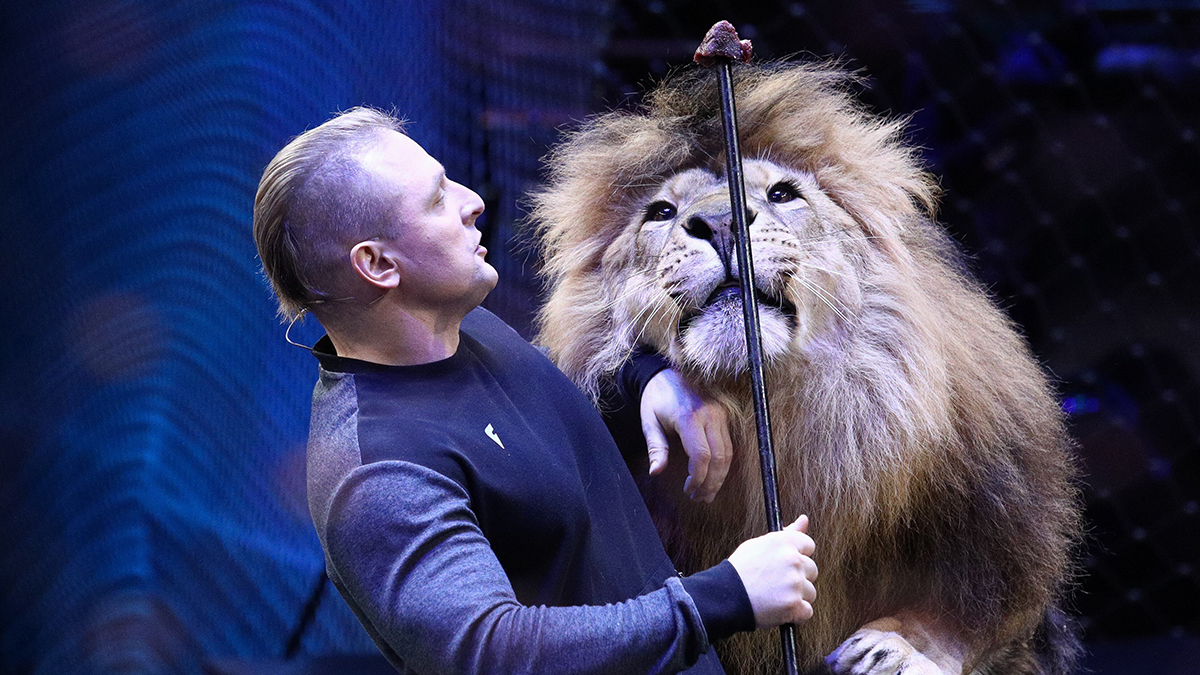 Запашный рассказал, из-за чего медведь мог задрать дрессировщицу в Петербурге