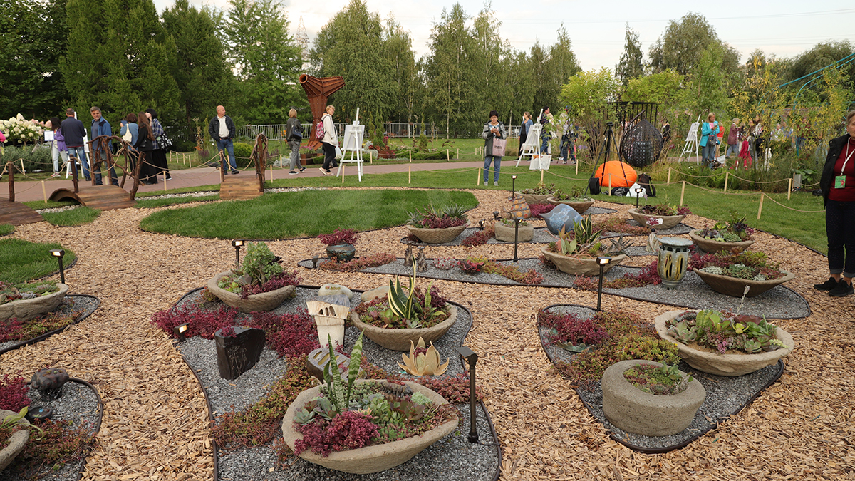 Стало известно, куда переедет волшебный сад Хаяо Миядзаки в Петербурге 