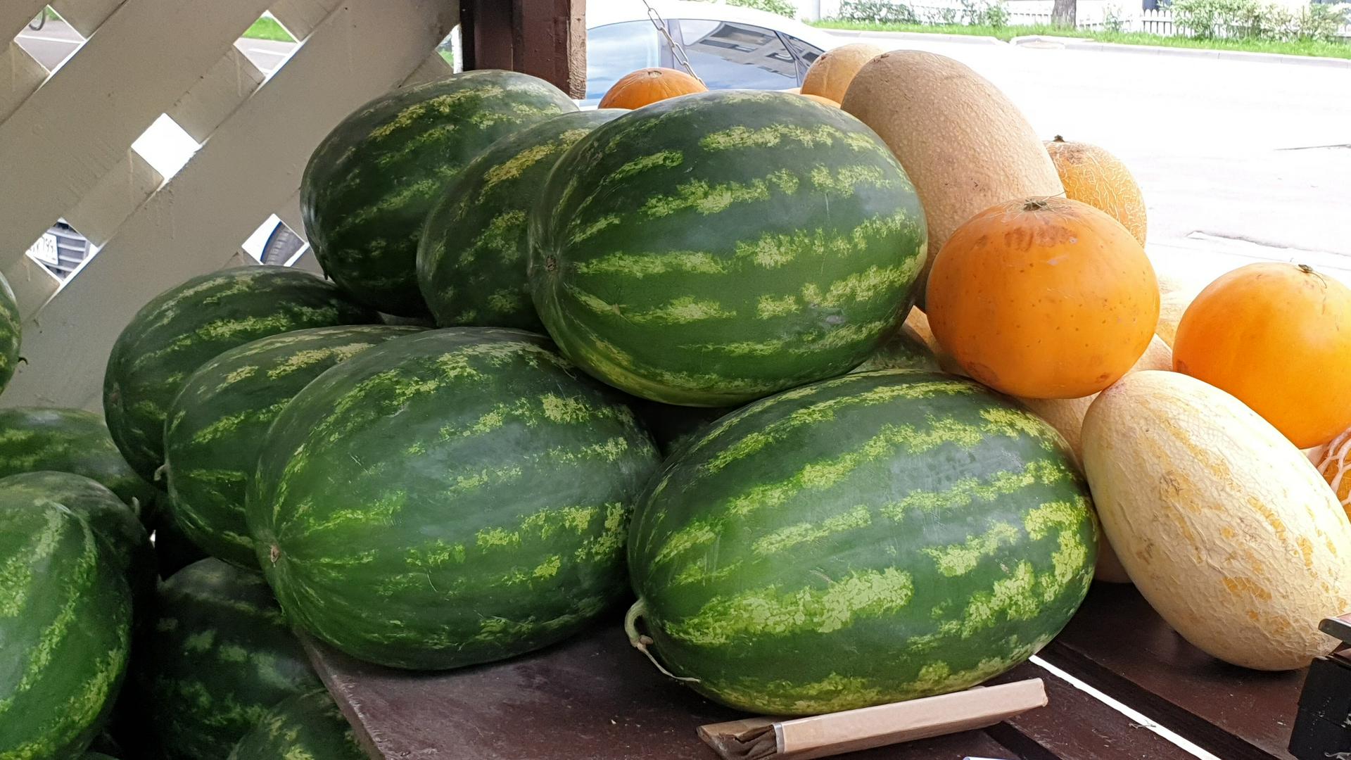 Врач Беляева рассказала, кому стоит отказаться от арбузов и дынь