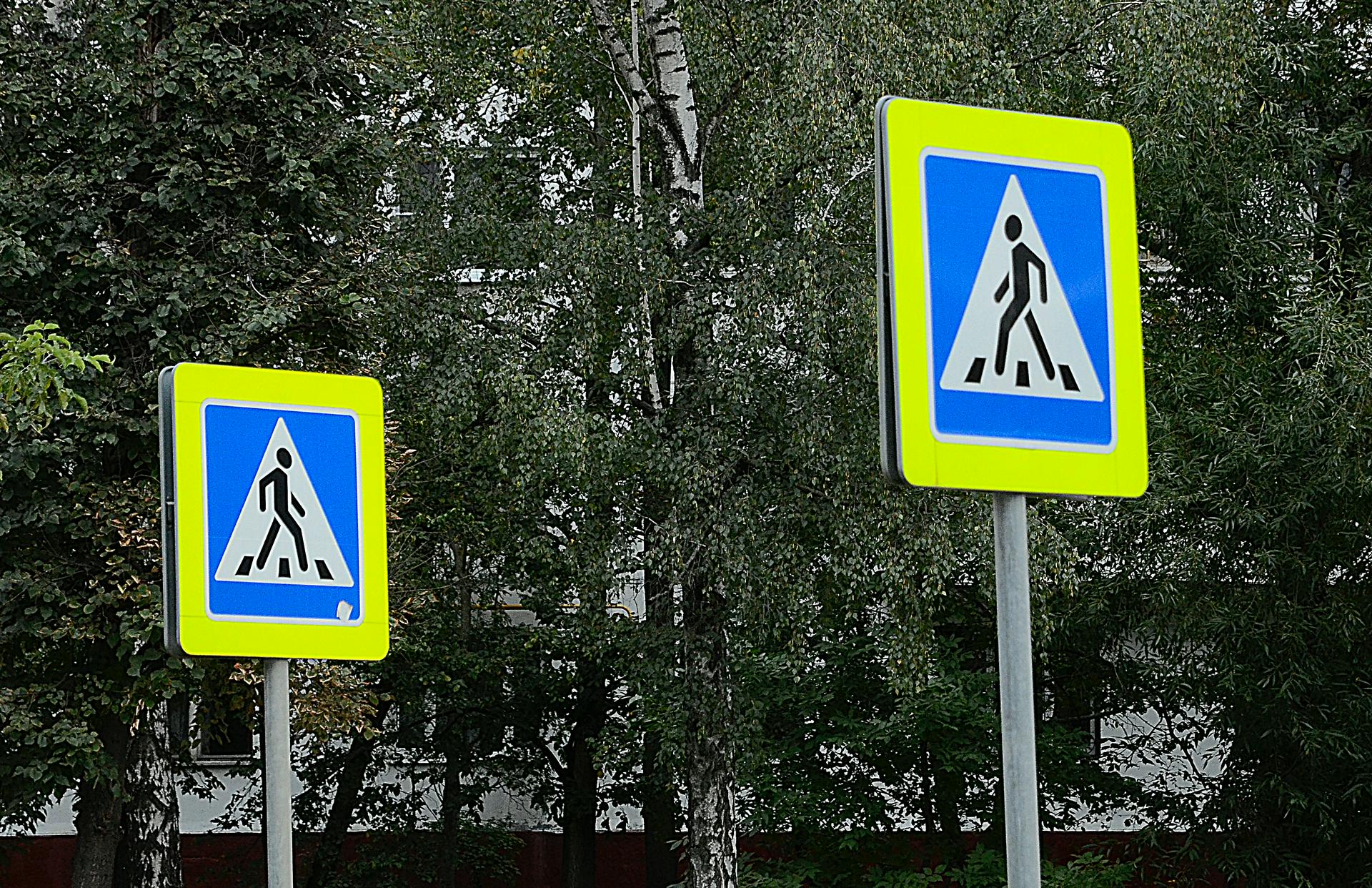 В Москве сотрудница полиции сбила женщину на пешеходном переходе