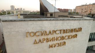 Куда сходить в Москве в выходные 8 и 9 августа 2026 года