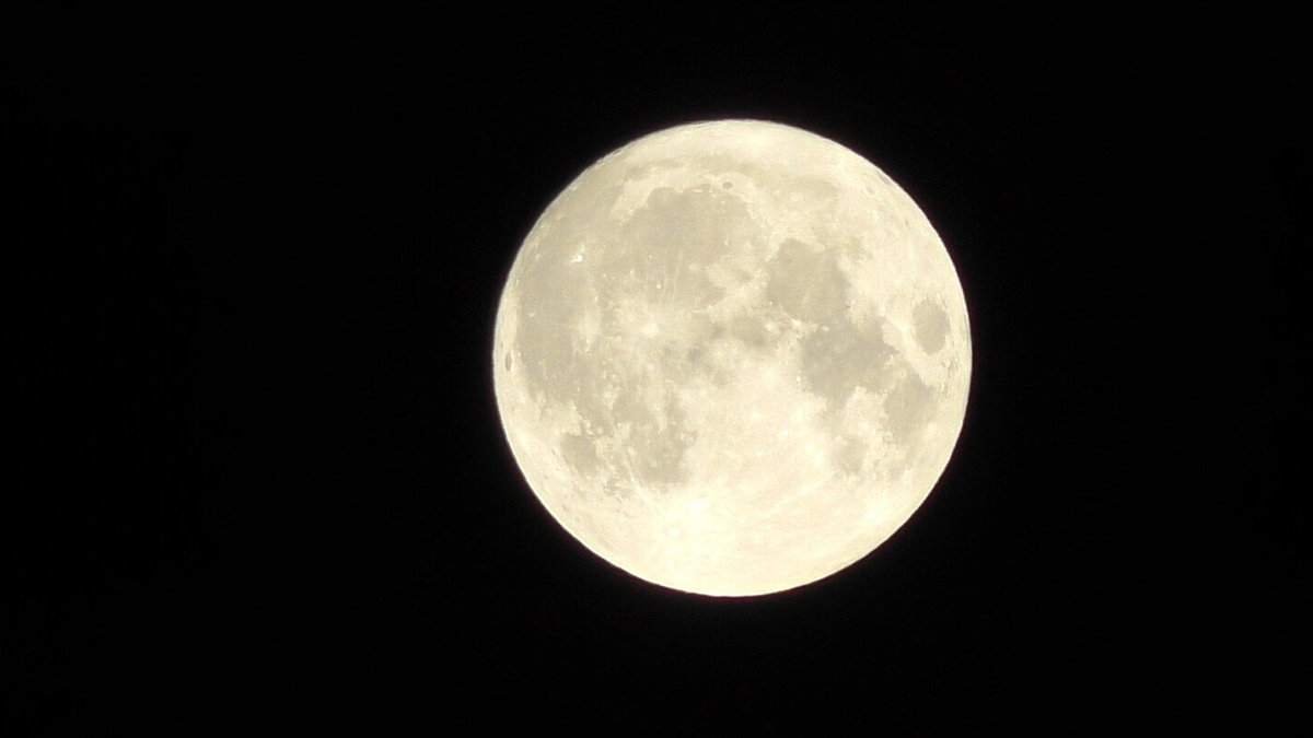 Москвичи в ночь на 20 августа смогут наблюдать суперлуние