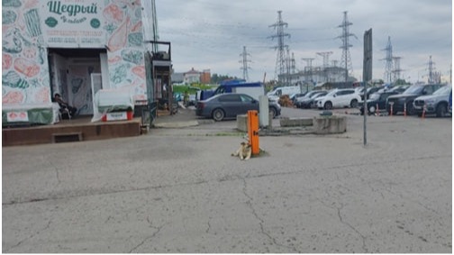 Территорию рынка на Дмитровском шоссе освободили от самостроя