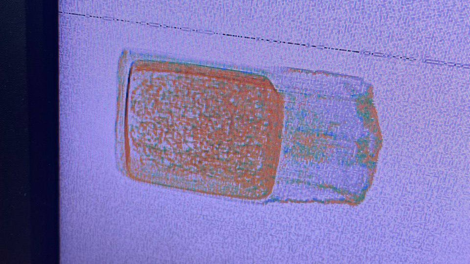 Грибы-паразиты нашли столичные таможенники в посылке из Индии