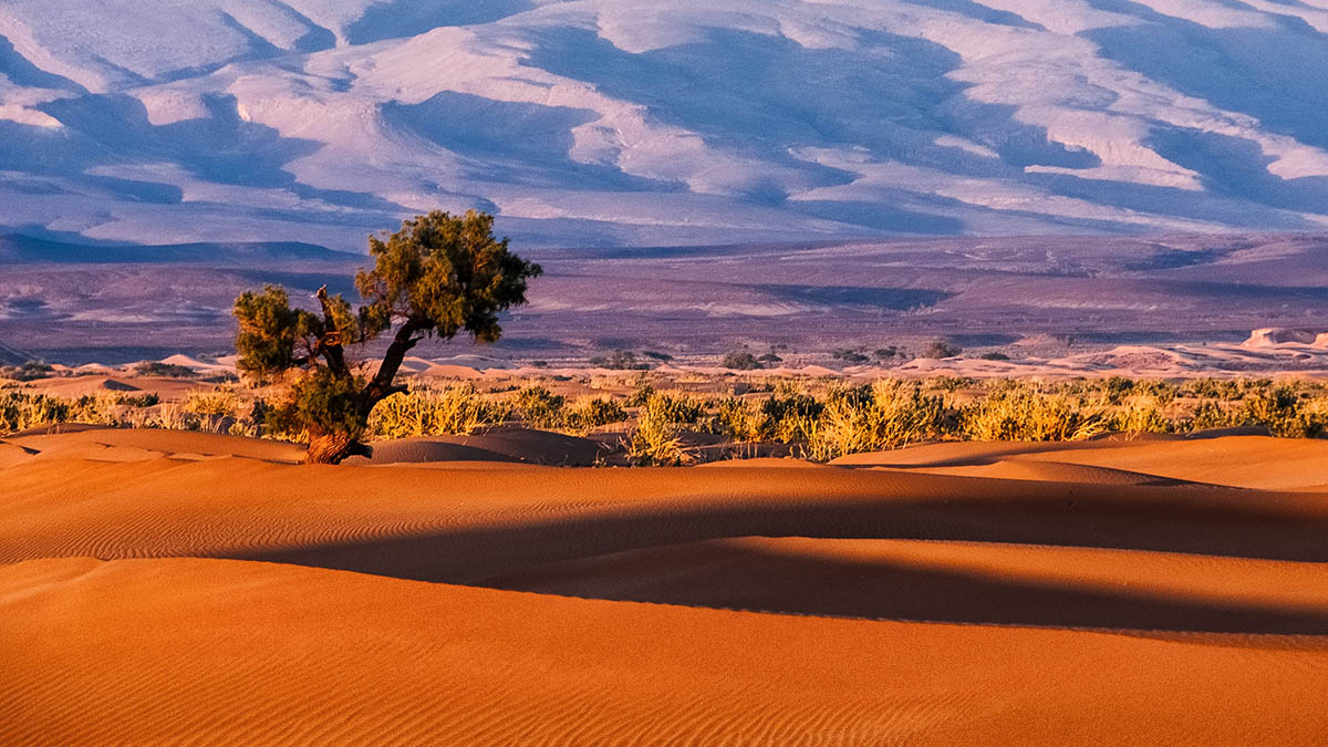 Стало известно, какую исламскую страну начали чаще выбирать российские туристы 