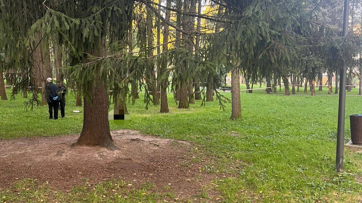 Обезглавленное тело мужчины нашли в парке на севере Москвы