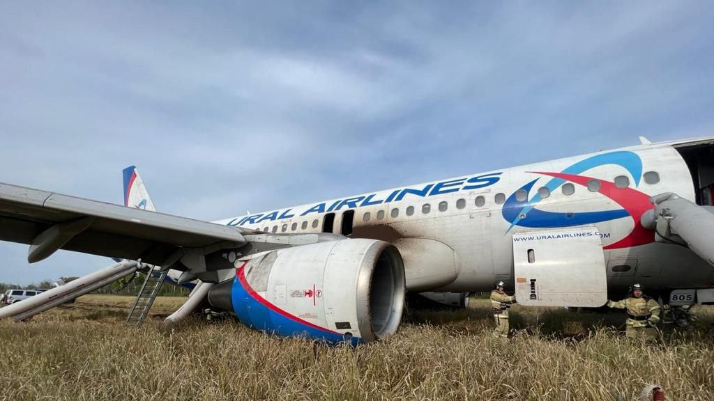 «Мы падаем, я тебя люблю»: опубликовано СМС пассажира экстренно севшего самолета