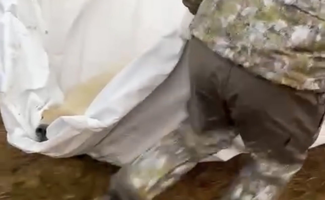 Сотрудники Московского зоопарка спасли голодного белого медведя в ЯНАО