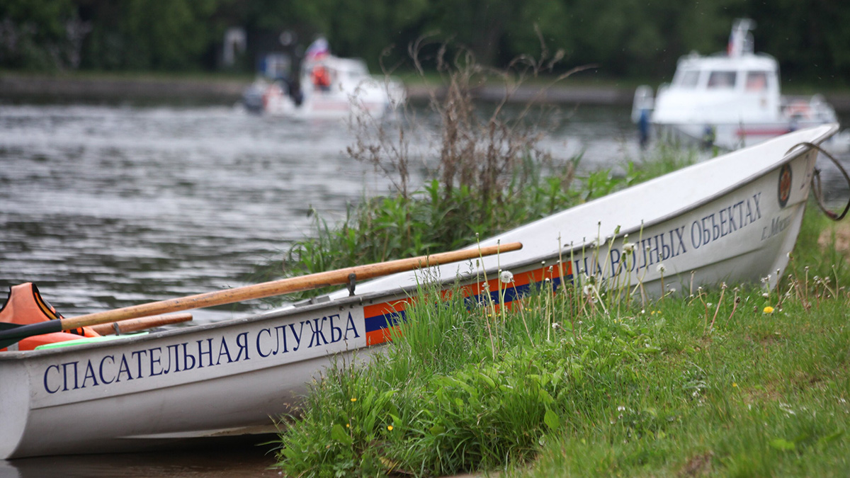 Работники станции спасли молодого человека на Большом Садовом пруду в Москве