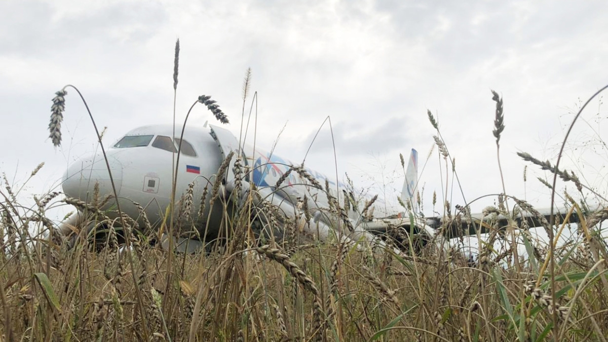 Пилот Белов рассказал, почему решил посадить самолет в поле под Новосибирском