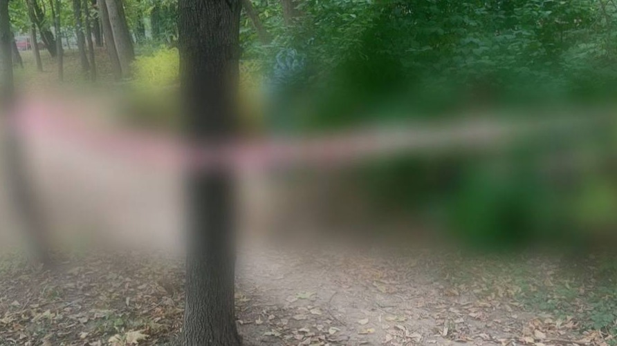 Женщину жестоко убили на западе Москвы