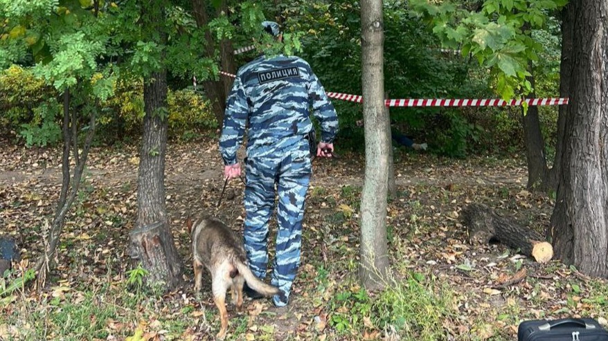 Стали известны подробности обнаружения тела женщины на западе Москвы