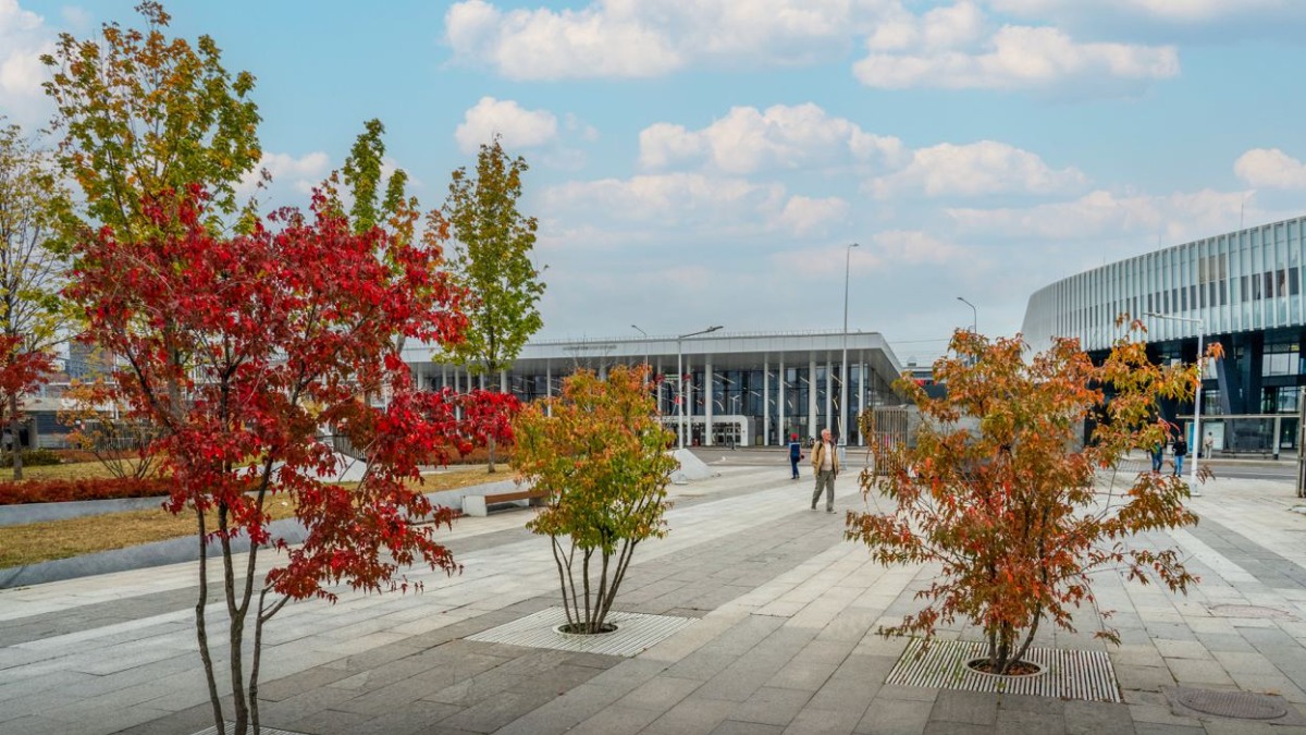 Собянин рассказал, как преображаются территории рядом со станциями метро