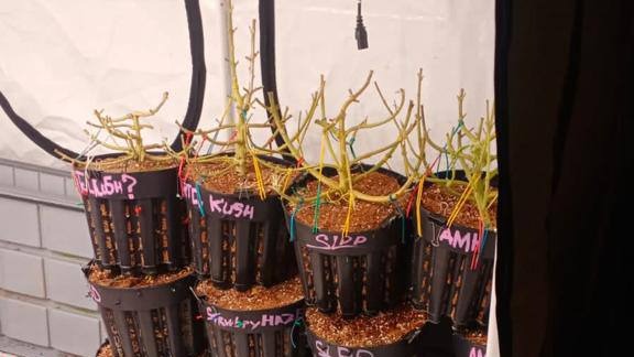 Создателя домашней нарколаборатории в Подмосковье приговорили к 14 годам колонии