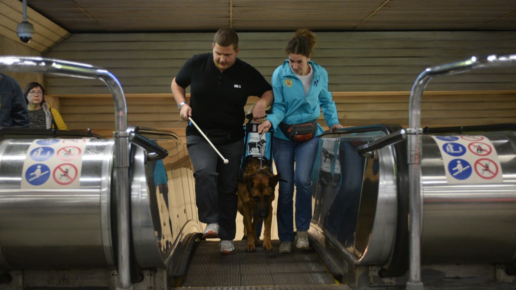 Инструктор-методист Надежда Винникова помогает незрячему пассажиру Александу Лукке обучать собаку Дункель ориентироваться в метро
