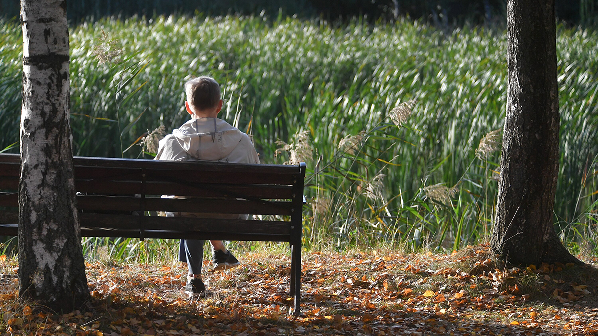 «Больше работает солнце»: синоптик Шувалов предрек потепление в Москве