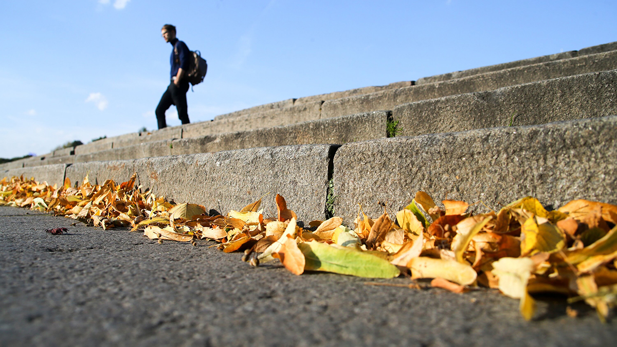 Синоптик Леус предупредил о пониженном атмосферном давлении в Москве 12 октября
