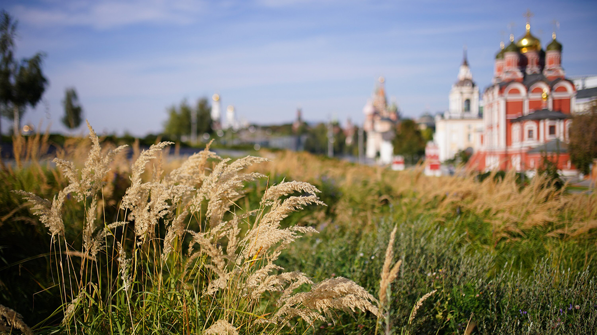 Стартовал open call V Московской Арт Премии