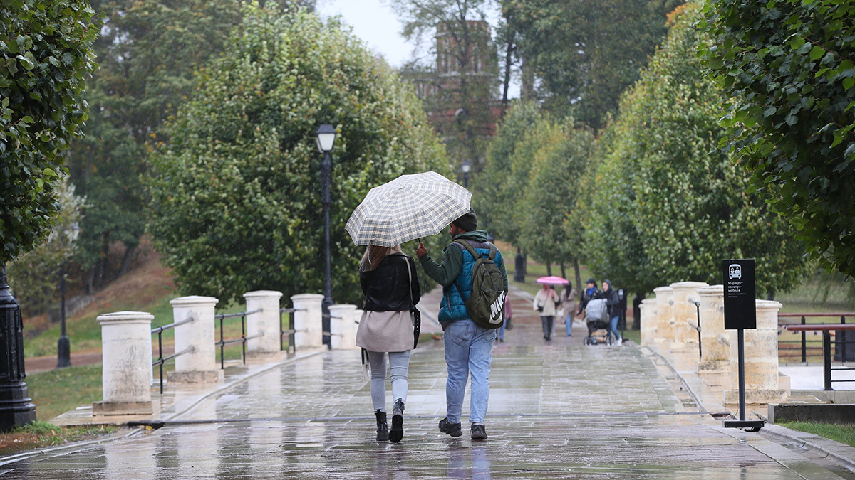 Синоптики предупредили москвичей о дождливой и прохладной погоде 7 октября