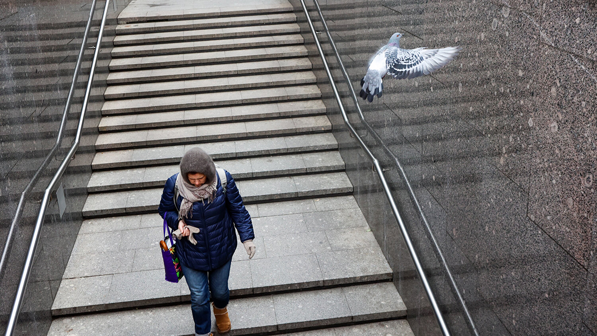«Желтый» уровень опасности из-за ветра объявлен в Москве до вечера 3 апреля 