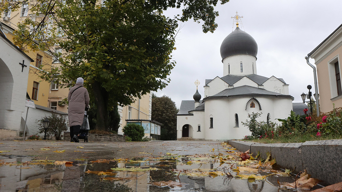 Москвичей предупредили о мокром снеге и пасмурной погоде 17 октября