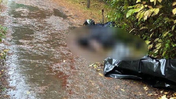 Женщину жестоко убили в Новой Москве