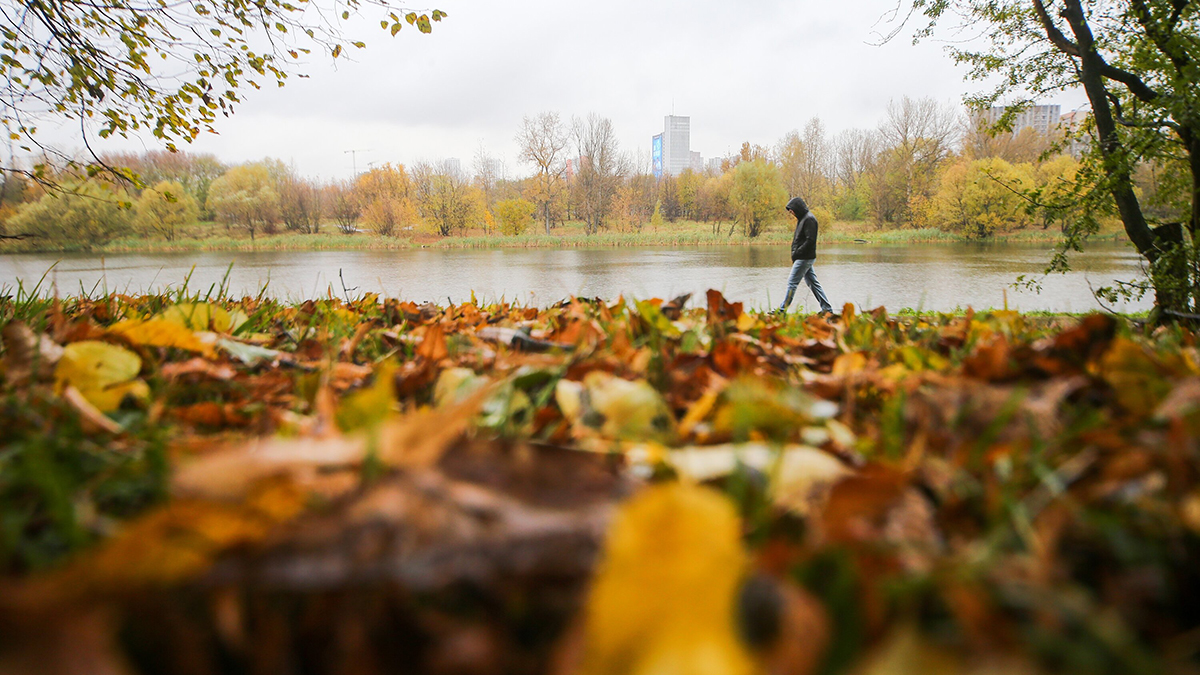 «Египетские ночи»: москвичам рассказали о погоде в первые дни ноября
