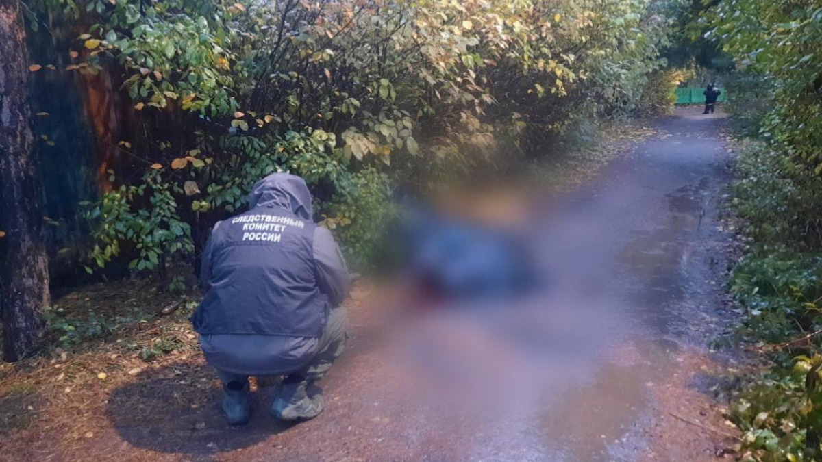 Следователи разыскивают подозреваемого в жестоком убийстве женщины в Новой Москве