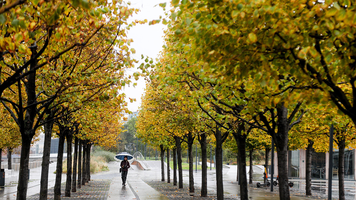 Потепление ожидается в Москве в праздничные ноябрьские выходные